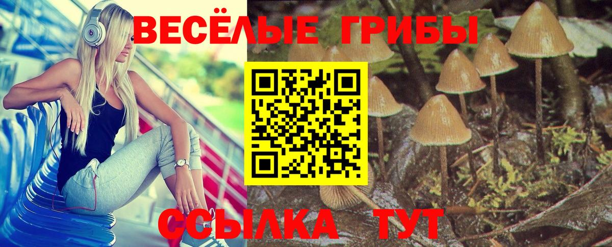Галлюциногенные грибы мухоморы  Псилоцибиновые грибы мухоморы  Вход с VPN  Еманжелинск 